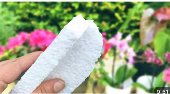 NIKADA ne bacajte ostatke stiropora! Vrijedi zlata! NIKADA ne bacajte ostatke stiropora! Vrijedi zlata! - featured image