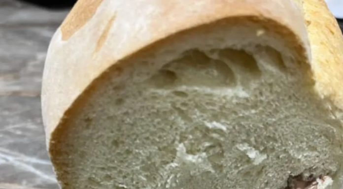 Da li je ovo nešto najgroznije što je ikada pronađeno u hrani? Pogledajte šta su Šapčani pronašli u hlebu Da li je ovo nešto najgroznije što je ikada pronađeno u hrani? Pogledajte šta su Šapčani pronašli u hlebu - featured image