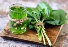 Sirup od bokvice – prirodni lijek za pluća, kašalj i sluz u disajnim putevima