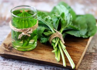 Sirup od bokvice – prirodni lijek za pluća, kašalj i sluz u disajnim putevima