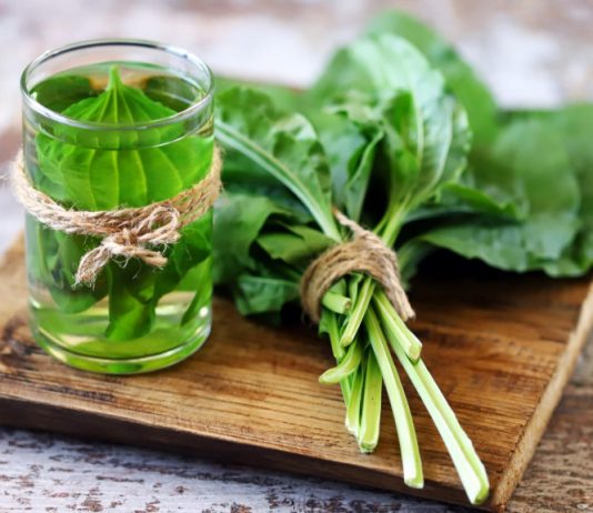 Sirup od bokvice – prirodni lijek za pluća, kašalj i sluz u disajnim putevima