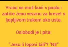 VIC DANA: Ne svađaj se sa molerima