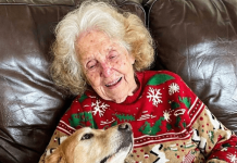 Svi su se svađali oko nasledstva, a istina me je čekala na ogrlici psa