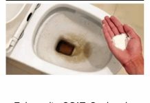 0CAT JE PR0ŠL0ST: 0vaj puder iz kuhinje čisti toalet za MlNUT – bez kamenca, žutih mrlja i mirisa!