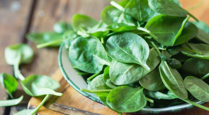 Spušta šećer u sekundi: Lisnato povrće koje bi trebalo češće jesti