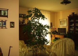 Veruje se da su ovo 10 najopasnijih stvari koje donose nesreću i probleme u kuću: Treba ih odmah baciti