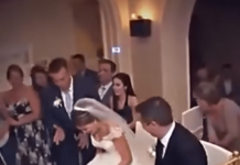 Na svadbi se nešto počelo micati ispod mladenkine haljine – Neočekivani gost koji je nasmijao sve