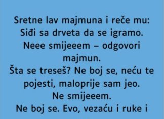 VIC: Majmun i lav