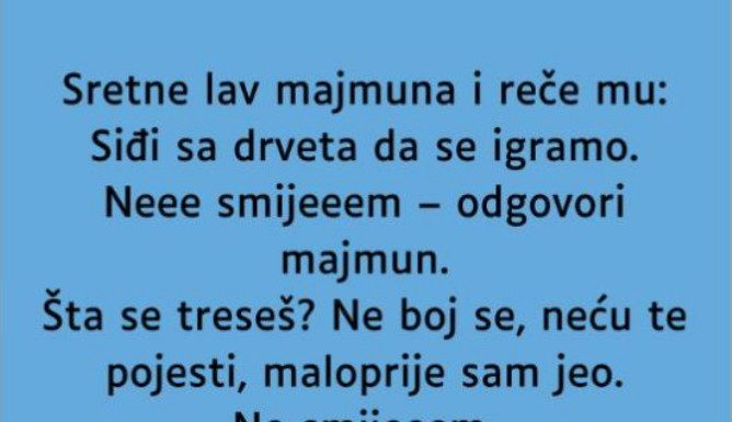 VIC: Majmun i lav
