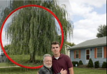 Mislio sam da sam ostao bez svega — dok nisam otvorio sef