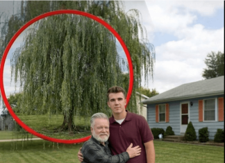 Mislio sam da sam ostao bez svega — dok nisam otvorio sef