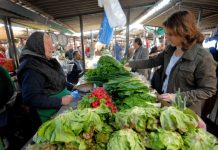 Pojavio se uznemirujući izveštaj: Bežite od ovog povrća kao đavo od tamjana