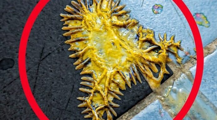 Pronašao sam ovo u kupaonici svoje djevojke. Gledamo to već sat vremena i još uvijek ne možemo shvatiti što je to.