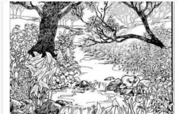 Mnogi su probali, ali nisu uspeli: Svako ko pronađe ženu na fotografiji ima natprosečnu inteligenciju