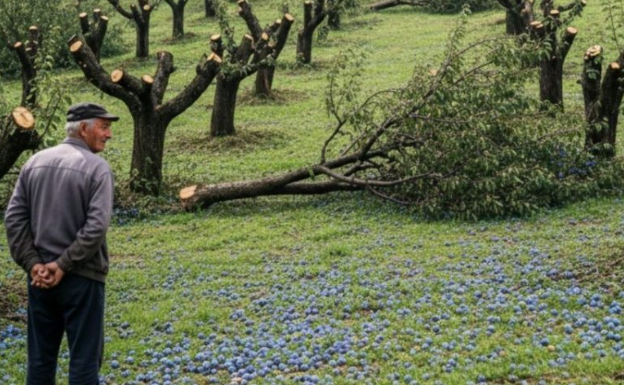 Komšija mi je posjekao voćnjak i UNIŠTIO 20 GODINA TRUDA ZA JEDNU NOĆ: Ali Draganov odgovor na pragu ga je potpuno SLOMIO!