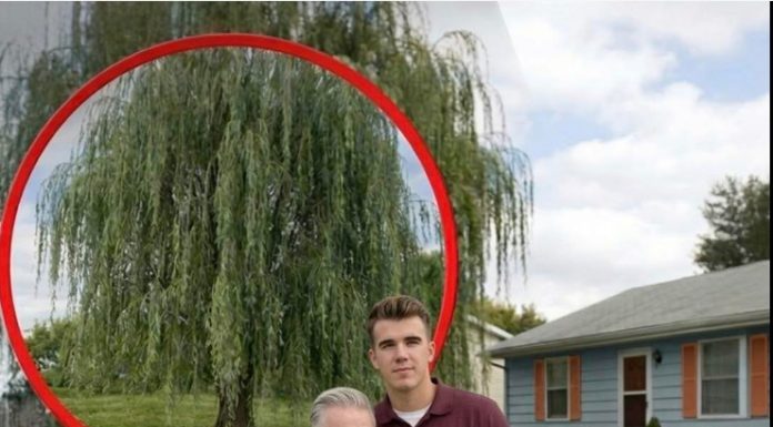 Mislio sam da sam ostao bez svega — dok nisam otvorio sef