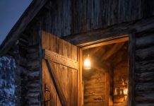 Tokom silne oluje, žena je pustila četiri vuka u svoj dom, vjerujući da ih spašava od hladnoće, ali ujutro ju je u sopstvenoj kući dočekao prizor koji ju je ostavio užasnutu 😲😱