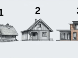 TEST! U KOJOJ KUĆI BISTE ŽIVJELI? Evo šta to govori o vama, OPREZ-SVIMA JE POGODILO!