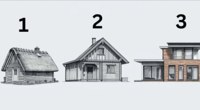 TEST! U KOJOJ KUĆI BISTE ŽIVJELI? Evo šta to govori o vama, OPREZ-SVIMA JE POGODILO!