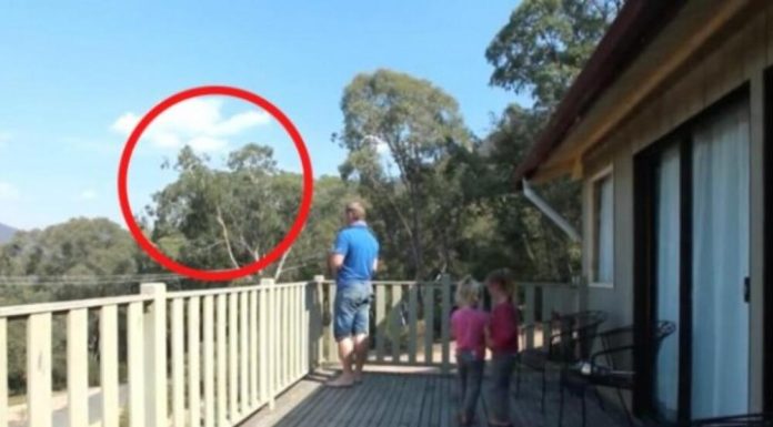 OTAC ILIJA UHVAĆEN SA ĆERKAMA NA BALKONU, MAJKA ODMAH IZLETJELA: Vrištali su dok su to radili (VIDEO)