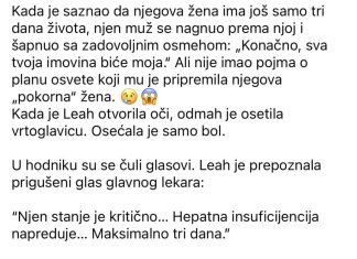 Saznavši da lekari daju njegovoj ženi samo još tri dana života, muž se nagnuo prema njoj i prošaputao sa zadovoljanim osmehom: „Konačno, sva tvoja imovina biće moja.“ Ali nije ni slutio kakav plan osvete mu je pripremila njegova „pokorna“ žena.