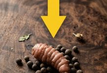 Pripremao sam mljevenu govedinu, a kad sam je izvadio iz tave, odjednom sam primijetio nešto čudno što nimalo nije ličilo na govedinu…