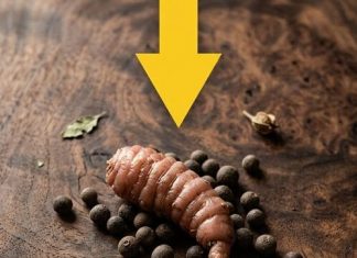 Pripremao sam mljevenu govedinu, a kad sam je izvadio iz tave, odjednom sam primijetio nešto čudno što nimalo nije ličilo na govedinu…