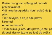 VIC DANA !! CRNOGGORAC U BEOGRADU