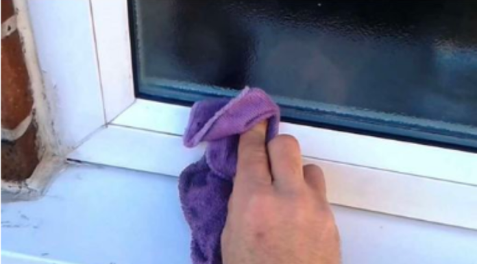 SAMO ISKUSNE DOMAĆICE ZNAJU DA SE PVC VRATA ČISTE UZ POMOĆ OVE VOĆKE: Oribaće svu MASNOĆU i FLEKE za tren oka