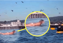 Snimala je svoju kćerku na plaži, ali nije ni slutila šta će se desiti narednih sekundi!