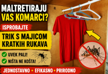 Maltretiraju vas komarci? Isprobajte trik s majicom kratkih rukava – uvek pali, a ništa ne košta!