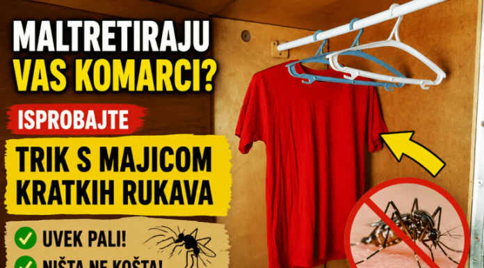 Maltretiraju vas komarci? Isprobajte trik s majicom kratkih rukava – uvek pali, a ništa ne košta!