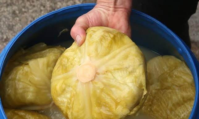 Bugarski trik za savršen kiseli kupus: Dodajte šaku ovoga i nikada se neće pokvariti… Bugarski trik za savršen kiseli kupus: Dodajte šaku ovoga i nikada se neće pokvariti… - featured image