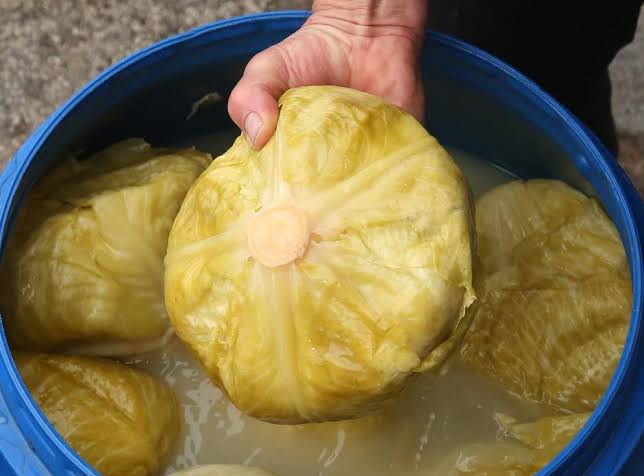 Bugarski trik za savršen kiseli kupus: Dodajte šaku ovoga i nikada se neće pokvariti… - featured image