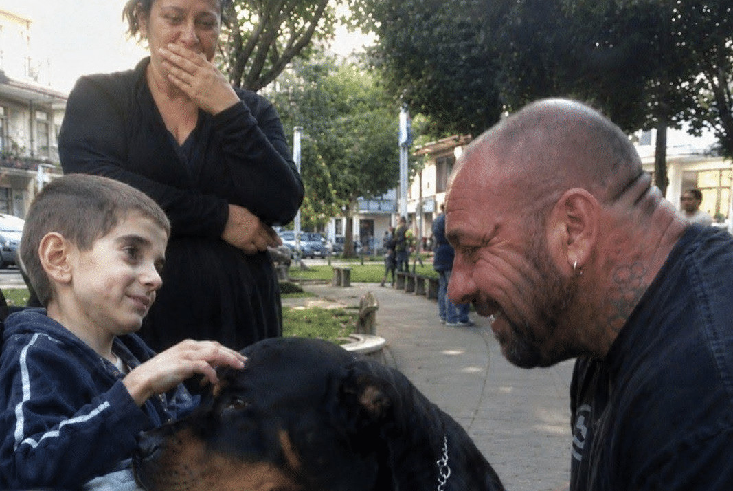 Dječak u invalidskim kolicima koji je zamolio za psa… i zauvijek promijenio dva slomljena života 😱💔 - featured image