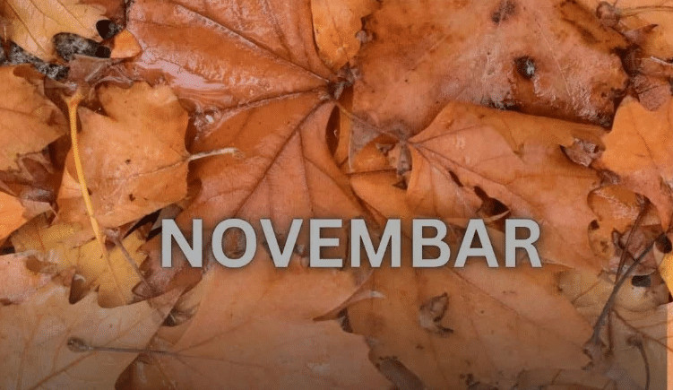 Od novembra kreće njihovo zlatno doba: 3 znaka ulaze u period kakav se čeka cijeli život - featured image